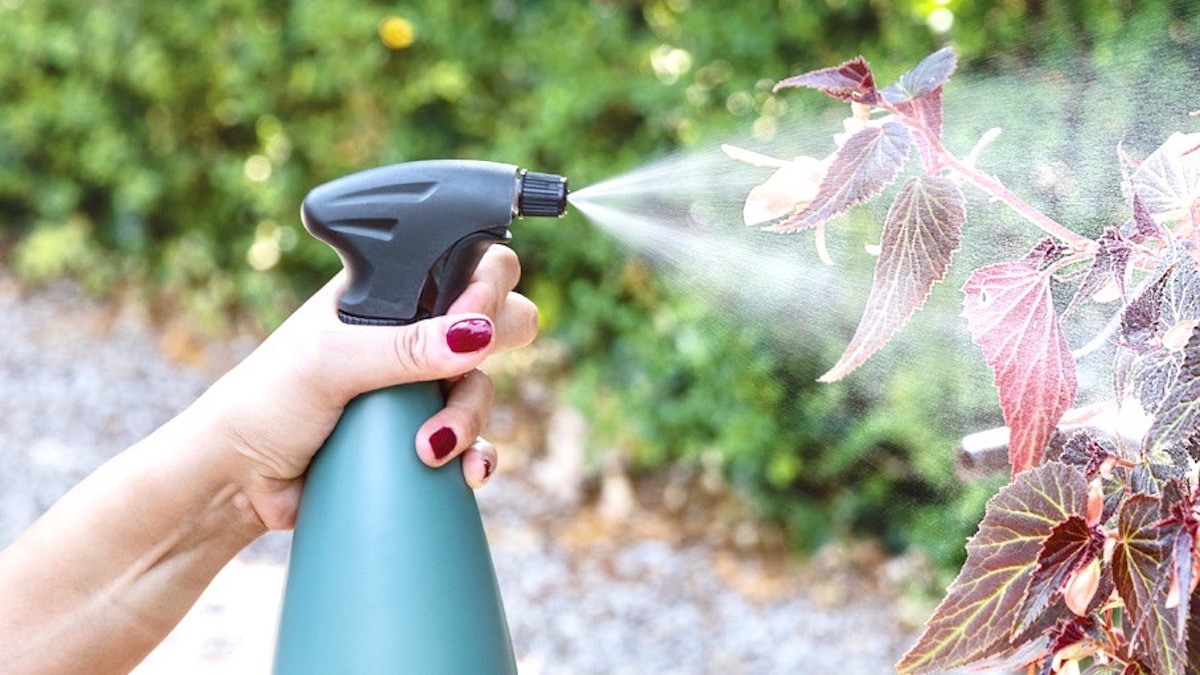 Chăm sóc cây trồng bằng bình tưới cây cầm tay Epoca 8231