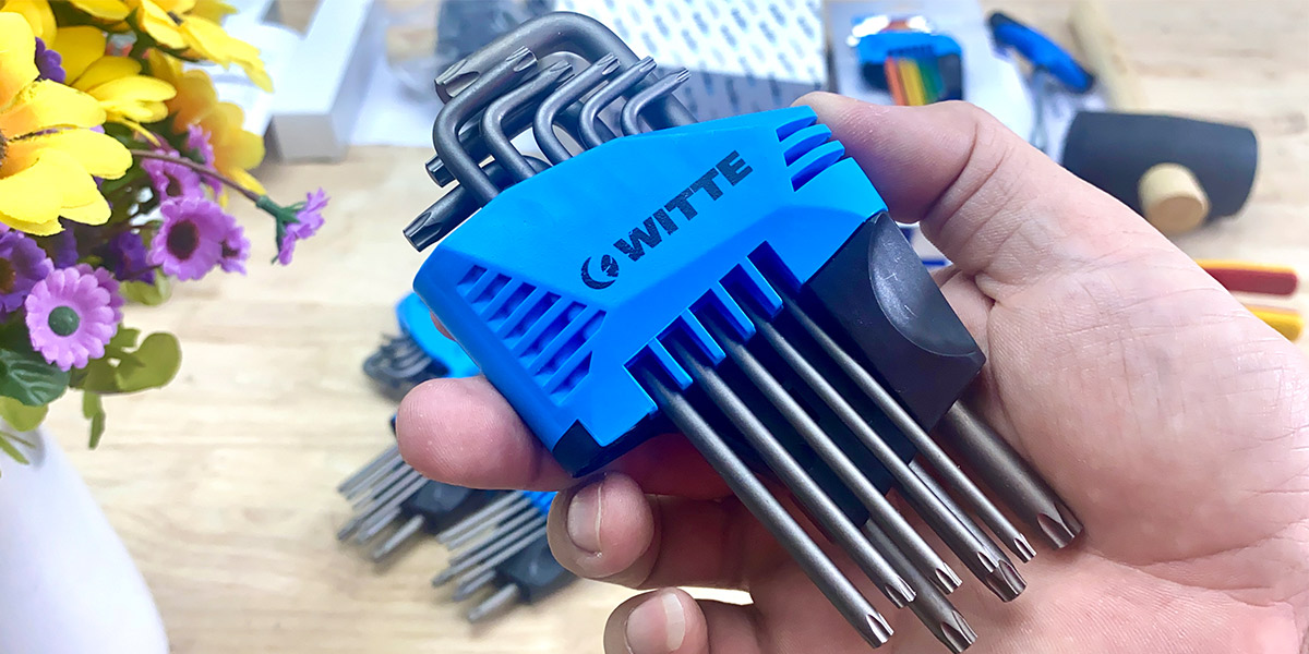 45032 Bộ lục giác đầu sao 8 cây T9-T40 Pro Witte Germany