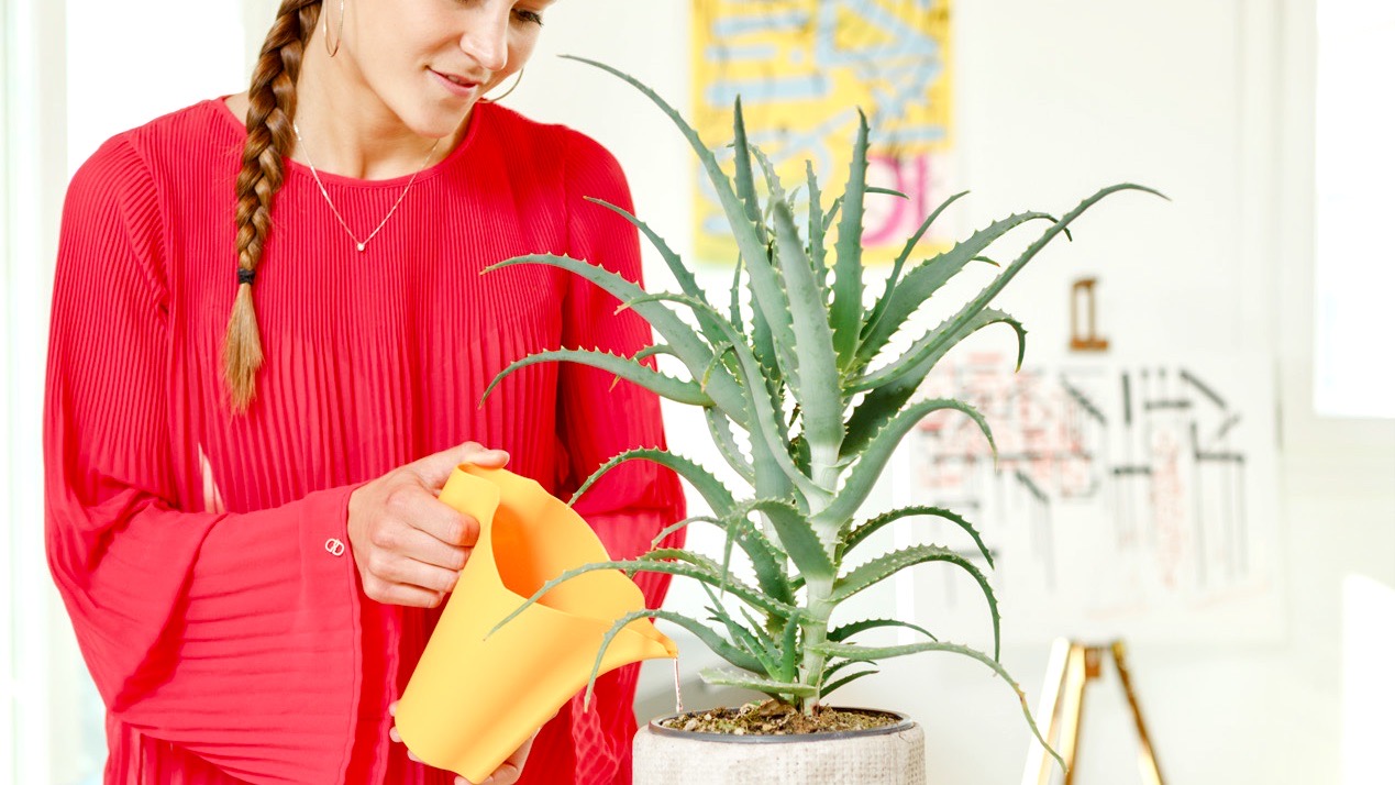 Ca đựng nước tưới cây 1 lít Lucy 8222.L61 Epoca