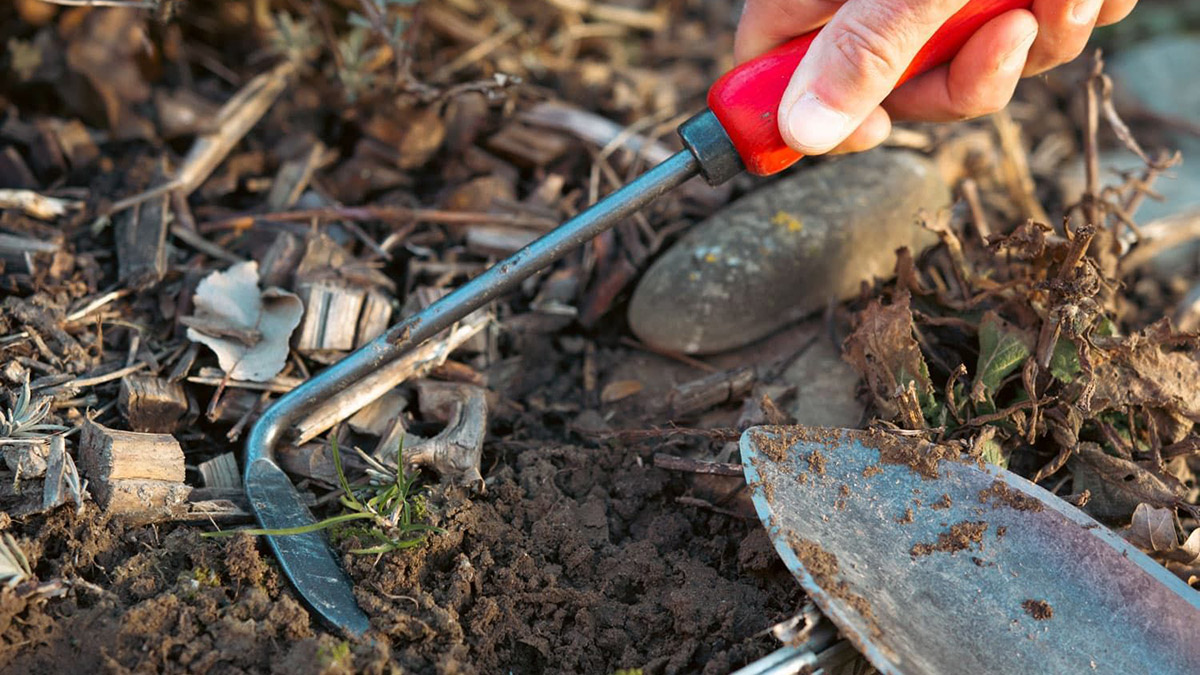 Cuốc xới đất FELCO 421 bằng sắt cán gỗ