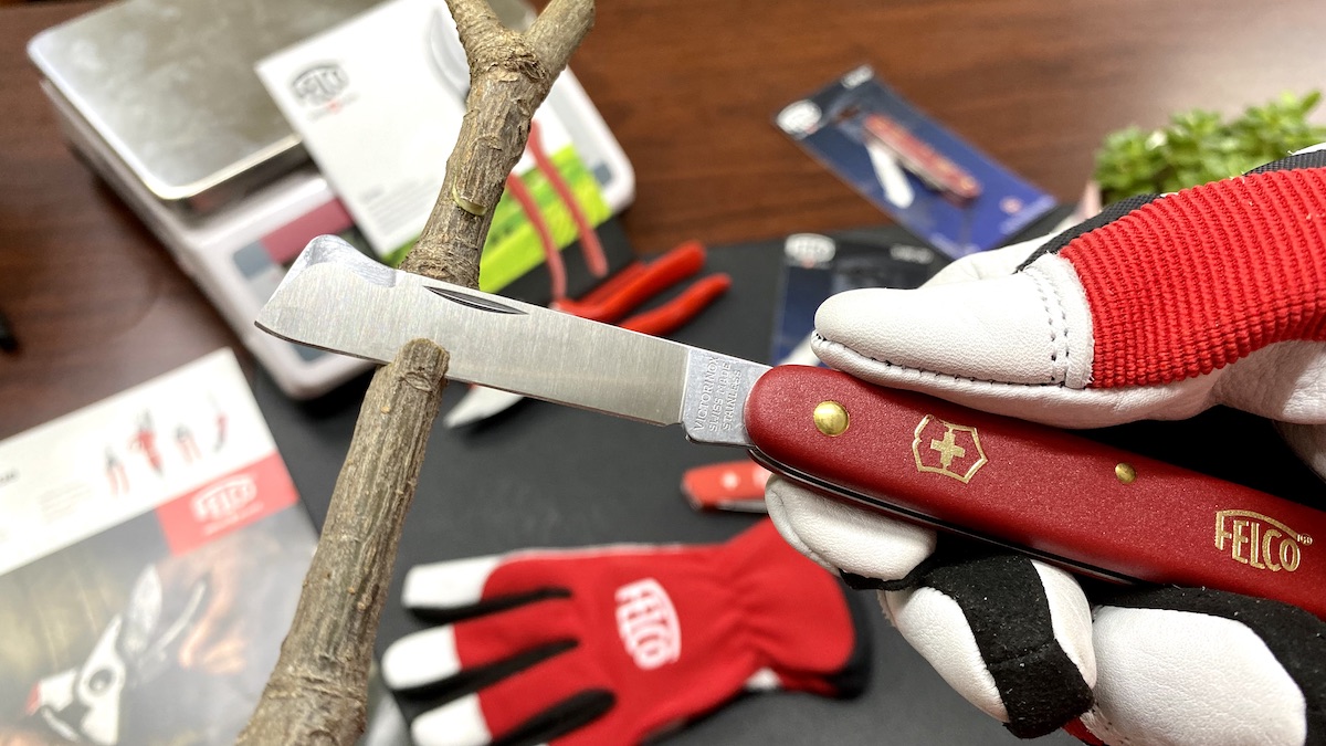 Chiết cành bằng dao FELCO 3.90 20