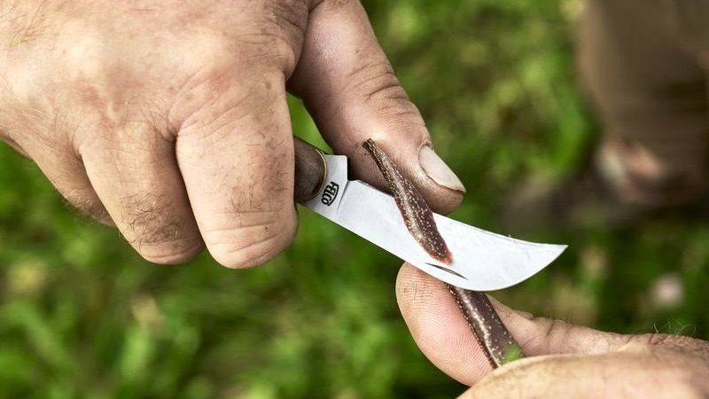 Dao chiết cành lưỡi cong cán gỗ FELCO 511