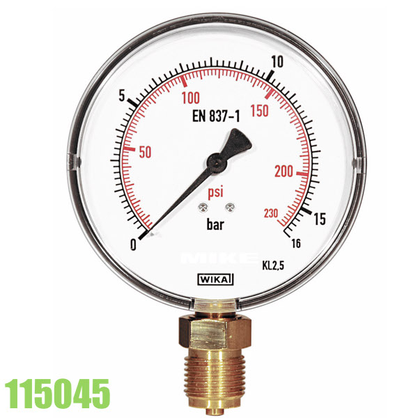 Đồng áp suất 115045 dùng cho bơm thử áp lực REMS Push