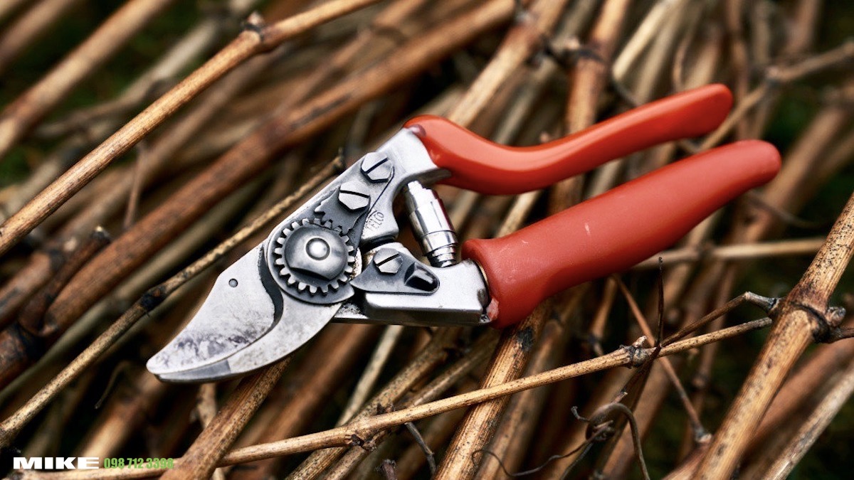 Kéo cắt cành hoa, cây cảnh, bonsai FELCO 15.