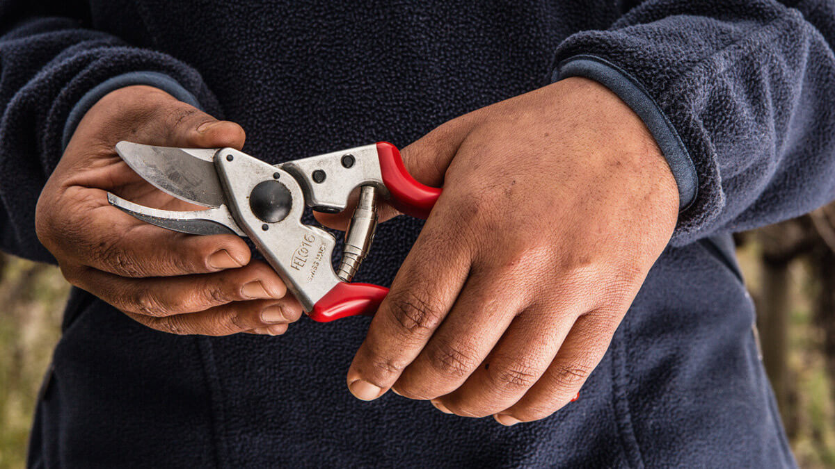 kéo cắt cành cho người thuận tay trái