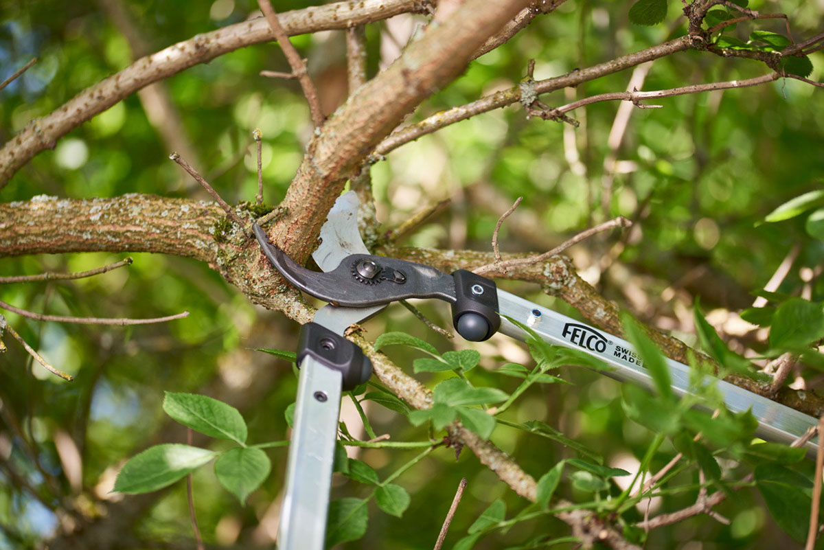 kéo cắt cành felco 211-40