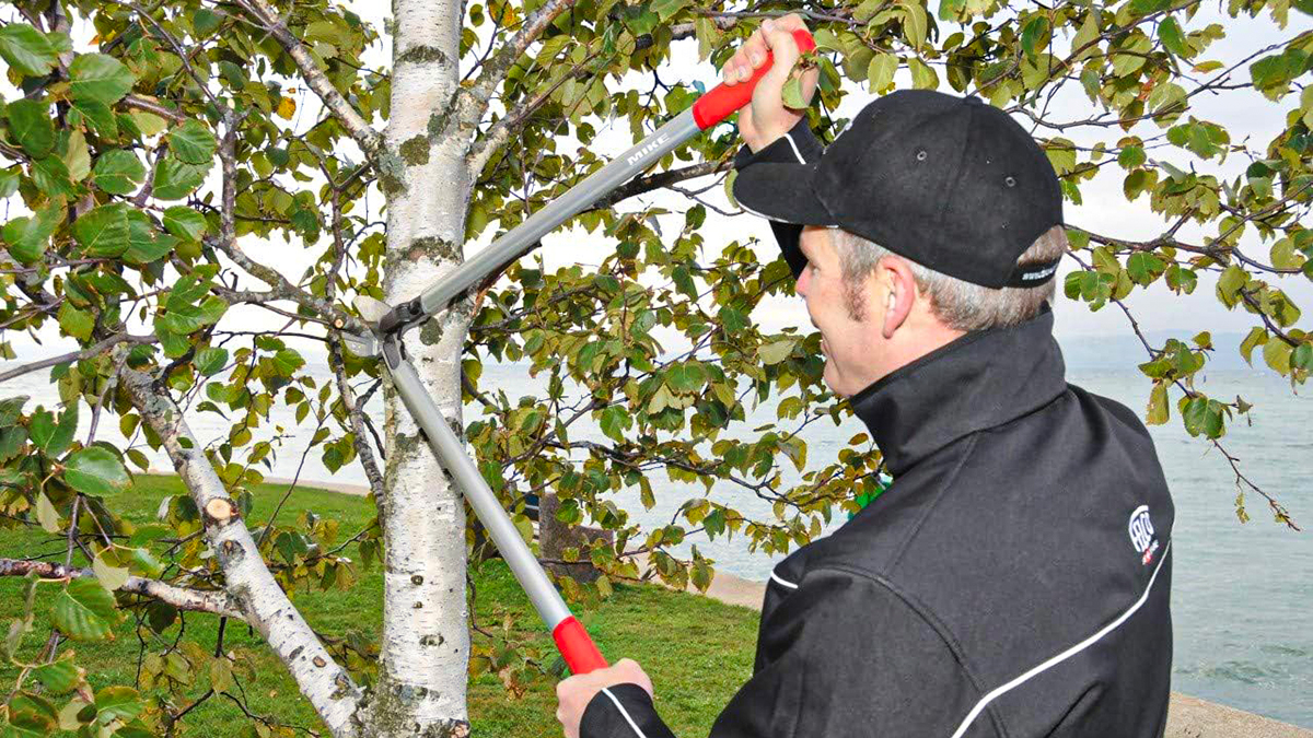 Kéo cắt cành FELCO 230 đường kính cắt tới 80mm, Thụy Sỹ<br>Kìm cắt cành FELCO 230 đường kính cắt tới 80mm, Thụy Sỹ