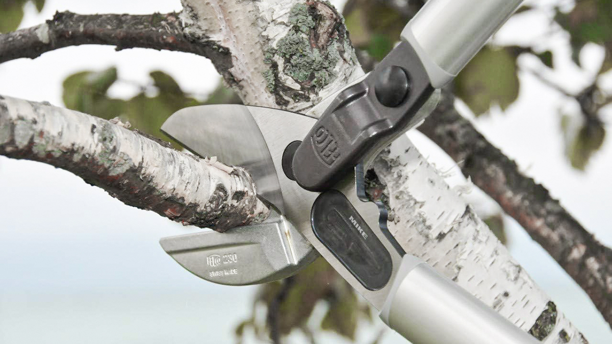 Kéo cắt cành FELCO 230 đường kính cắt tới 80mm, Thụy Sỹ<br>Kìm cắt cành FELCO 230 đường kính cắt tới 80mm, Thụy Sỹ