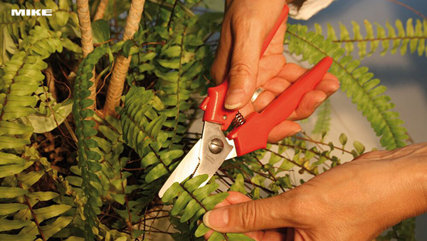 Kéo inox đa năng BESSEY D47-D48, cán nhựa cứng