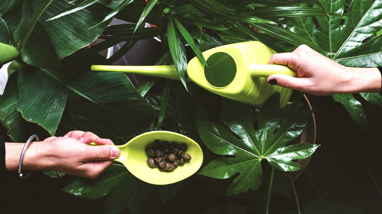 Dụng cụ xúc hạt giống cây trồng Epoca Turtle Scoop